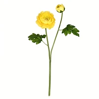 Yellow Ranunculus Stem, 6ct.