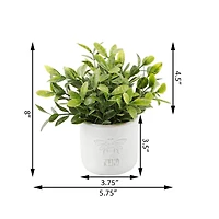 Flora Bunda® 3.75" Bee Kind Ceramic Tea Leaf & Bee Happy Eucalyptus In Ivory Pots Set