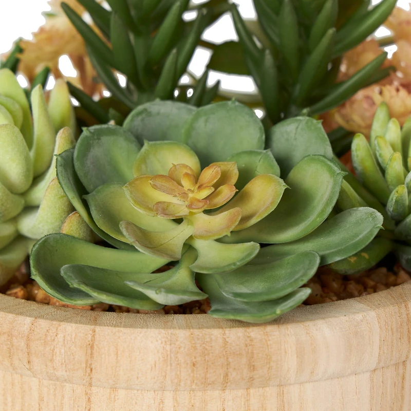 7" Succulent Artificial Plant with Natural Pot