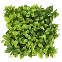 5" Boxwood Leaf Mat by Ashland®