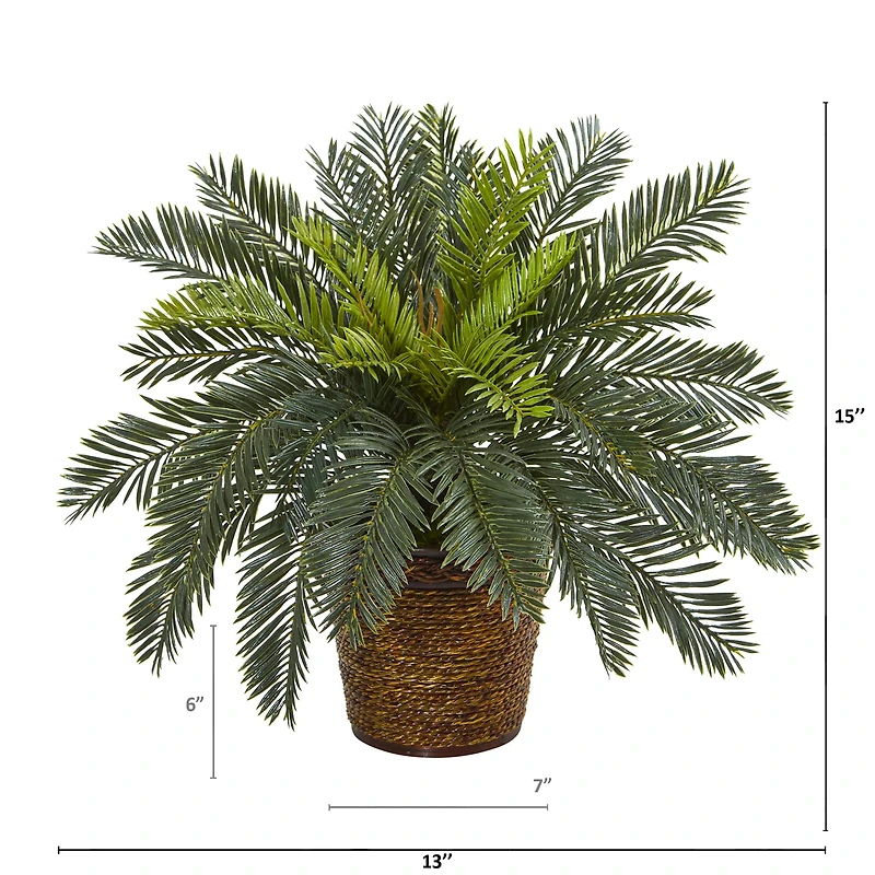 15" Cycas In Basket