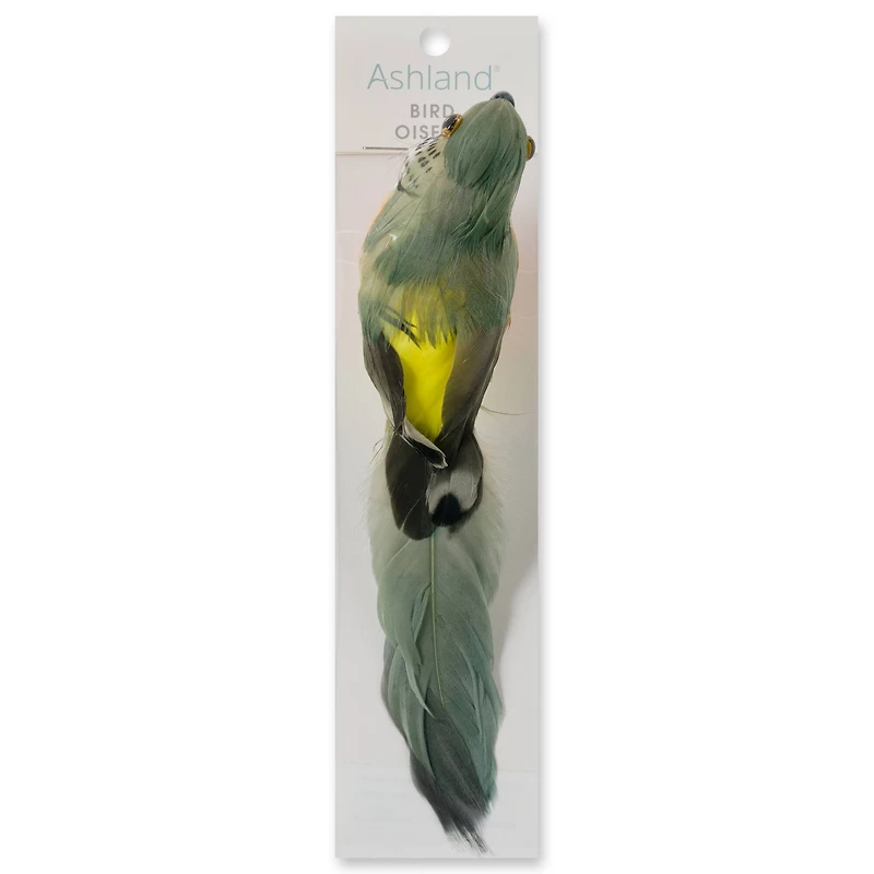 Assorted Feather Parrot by Ashland®