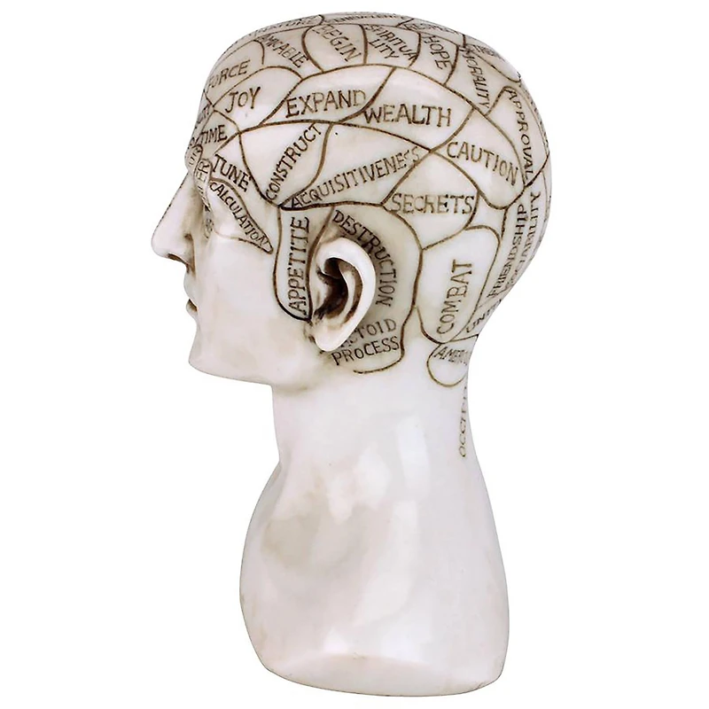 Design Toscano 6" Phrenology the Science of the Brain Victorian Replica Statue