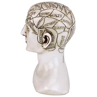 Design Toscano 6" Phrenology the Science of the Brain Victorian Replica Statue
