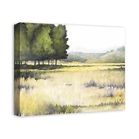 Peaceful Meadow 20" x 16" Canvas Wall Art