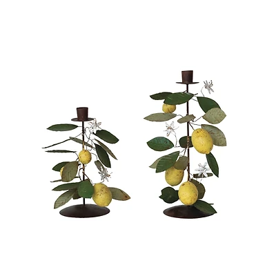 Hello Honey® Multicolor Citrus Grove Metal Taper Candle Holder Set