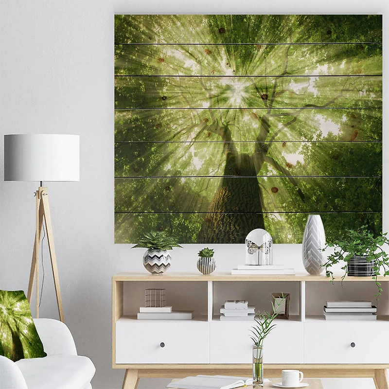 Designart - Sunlight Peeking through Green Tree