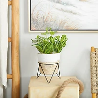 The Novogratz 16" Potted Green Rattan Coastal Artificial Foliage