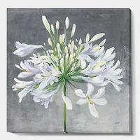 Designart - Flower Cleome Splash I