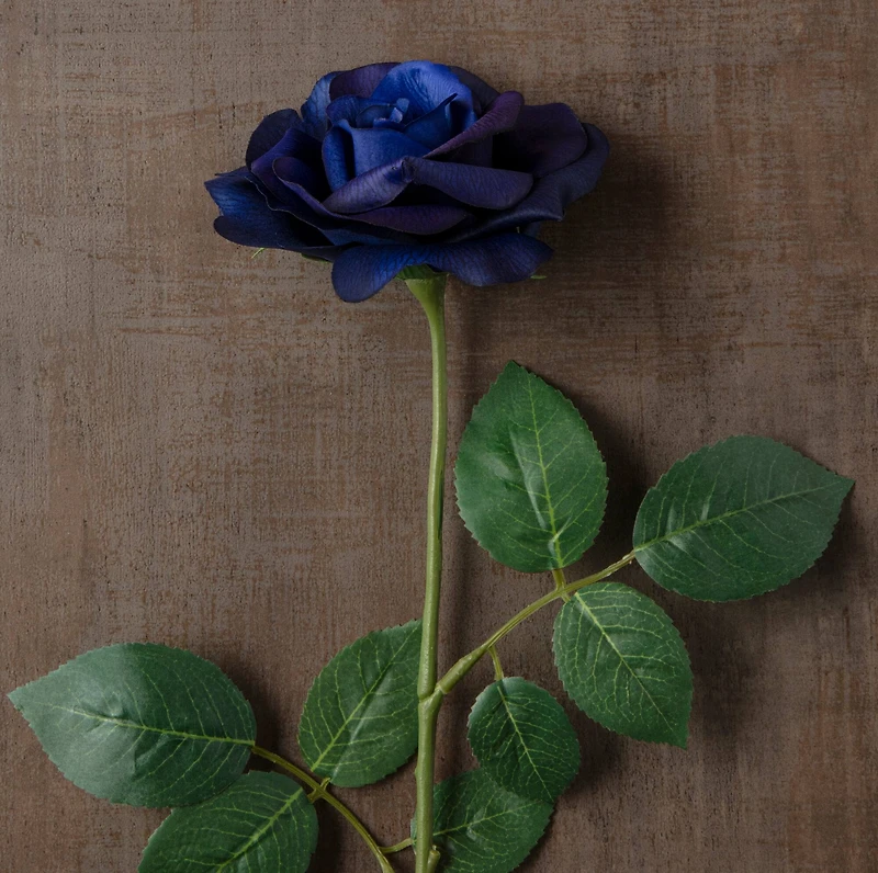 12 Pack: Navy Princess Rose Stem by Ashland®