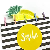 Mini Pastel Clothespins by Recollections™