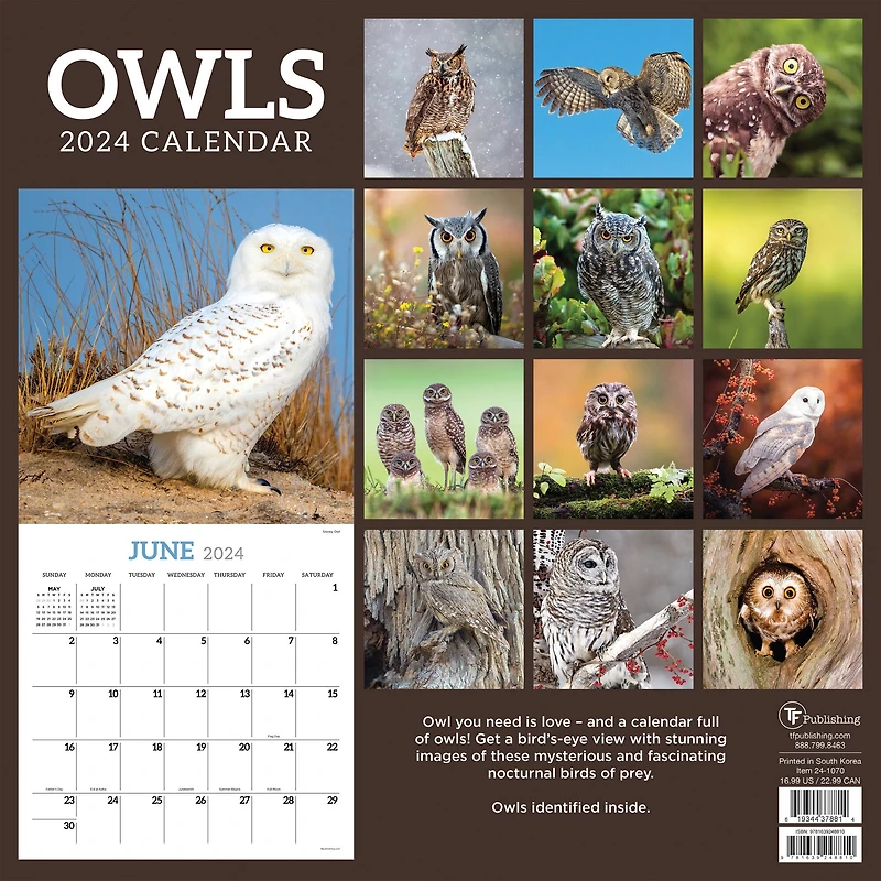 TF Publishing 2024 Owls Wall Calendar