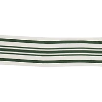 2.5" x 80ft. Green Stripes Wired Jumbo Ribbon by Celebrate It®
