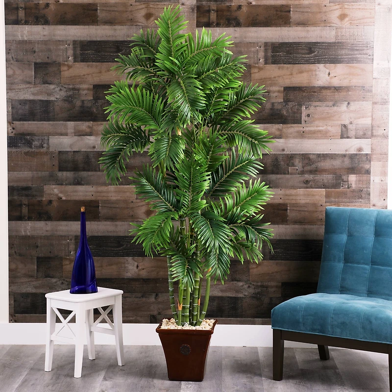 6ft. Areca Palm Tree in Brown Planter