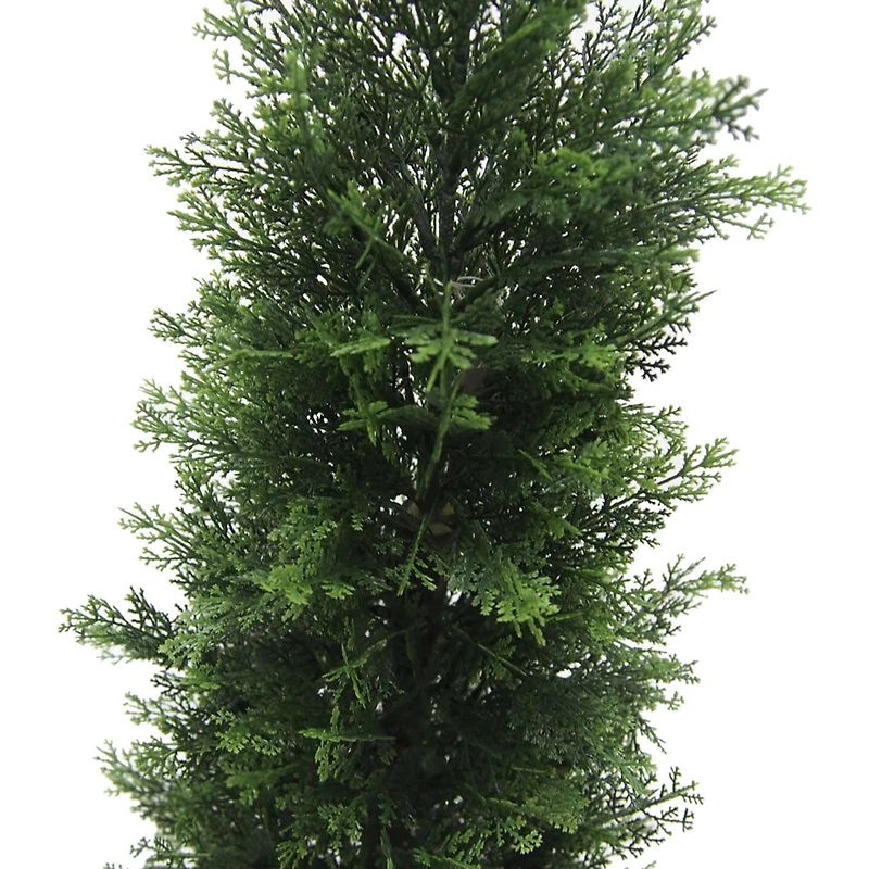3ft. Potted Cedar Tree