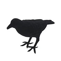 9" Black Crow Tabletop Décor by Ashland®