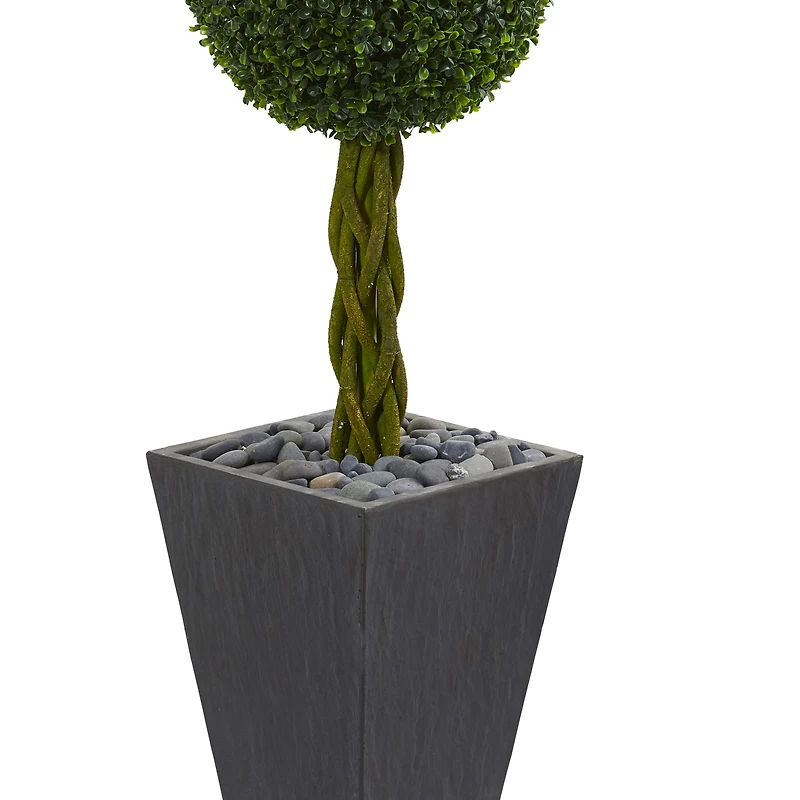 5ft. Double Ball Boxwood Topiary Tree in Slate Planter
