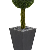 5ft. Double Ball Boxwood Topiary Tree in Slate Planter
