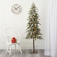 6.5ft. Pre-Lit Washington Alpine Artificial Christmas Tree, White Warm LED Lights