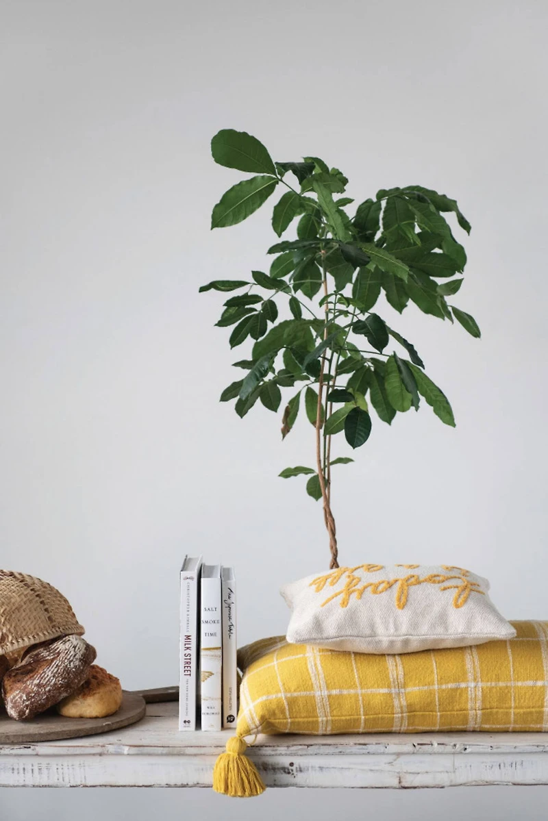 Hello Honey® Today Is A Gift Embroidered Cotton Lumbar Pillow