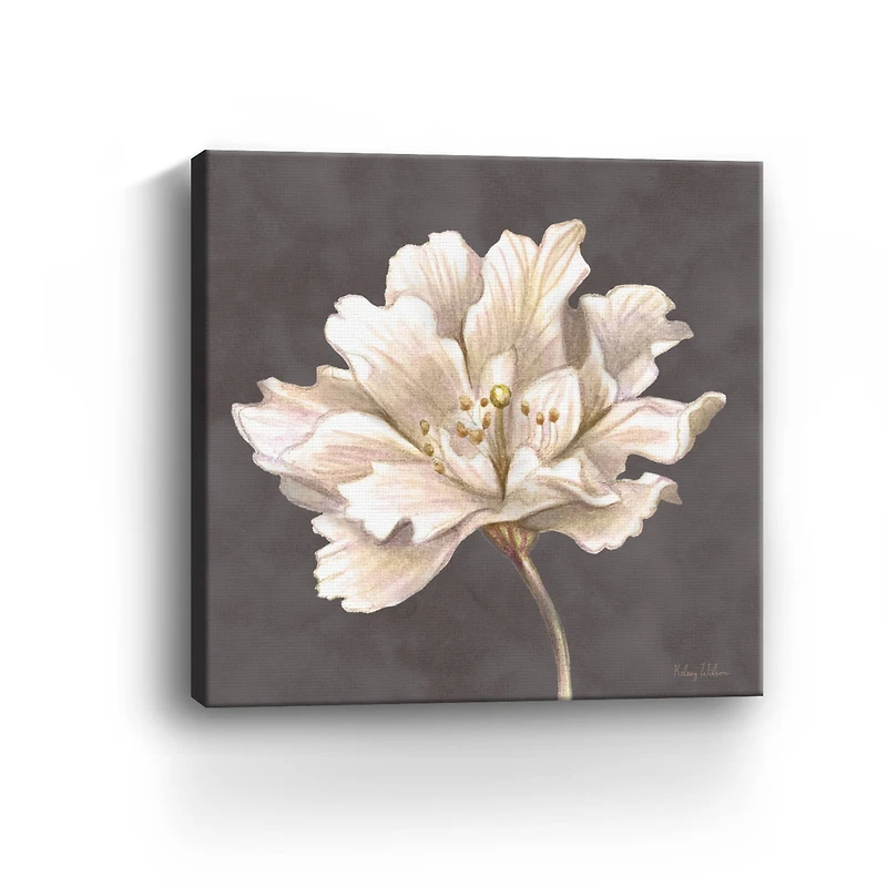 Cream Willow Blossom I Canvas Giclee