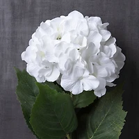 Hydrangea Stem by Ashland® Classic Traditions™