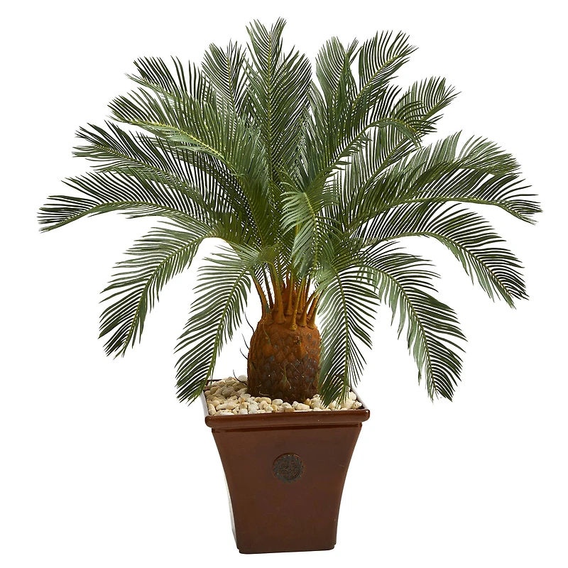 3.5ft. Cycas Tree in Brown Planter