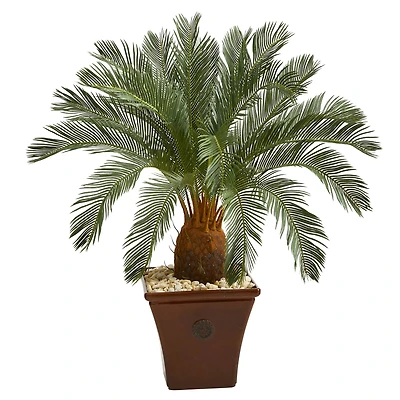 3.5ft. Cycas Tree in Brown Planter