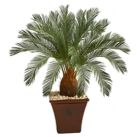 3.5ft. Cycas Tree in Brown Planter
