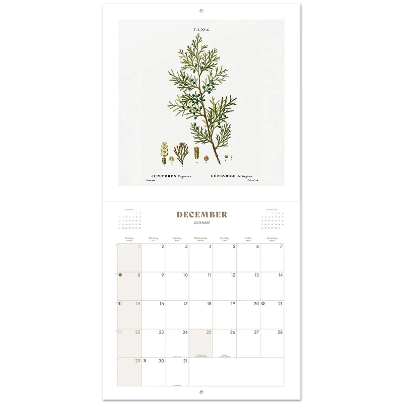 TF Publishing 2024 Botany Bilingual Wall Calendar