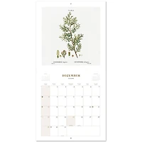 TF Publishing 2024 Botany Bilingual Wall Calendar