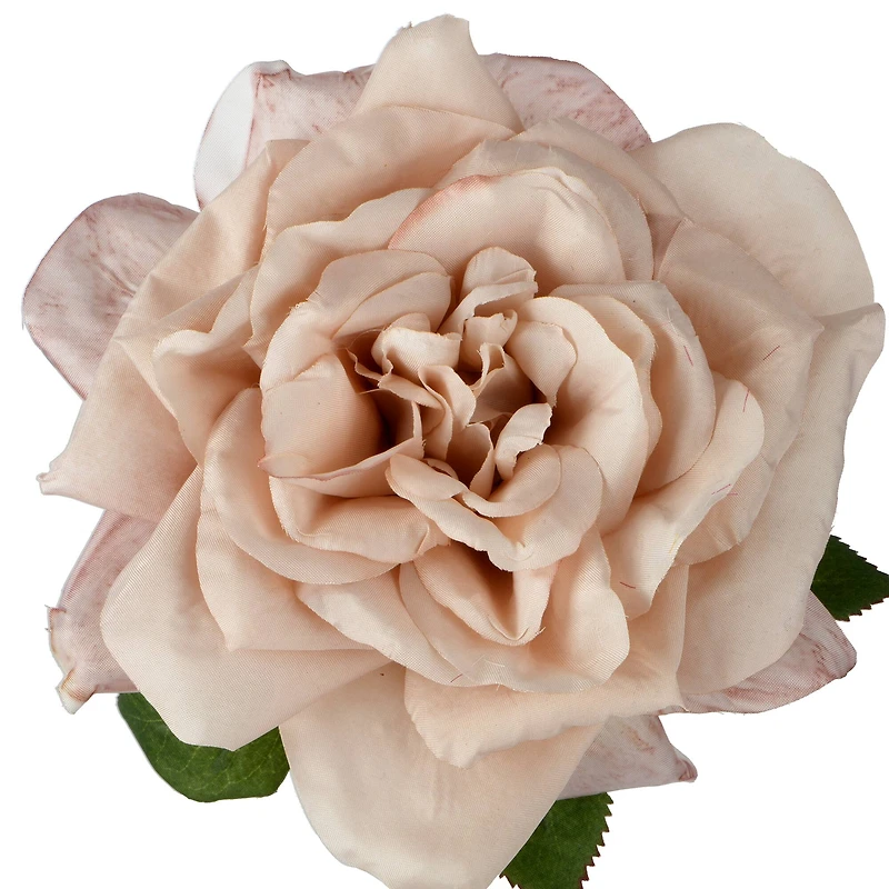 24" Beige Tea Rose by Ashland®