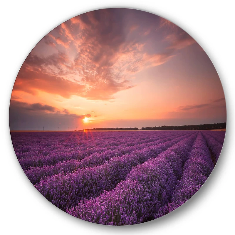Designart - Sunrise & Dramatic Clouds Over Lavender Field XII