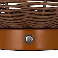 Hello Honey® 14.25" Natural Plastic & Woven Rattan LED Lamp, 2ct.