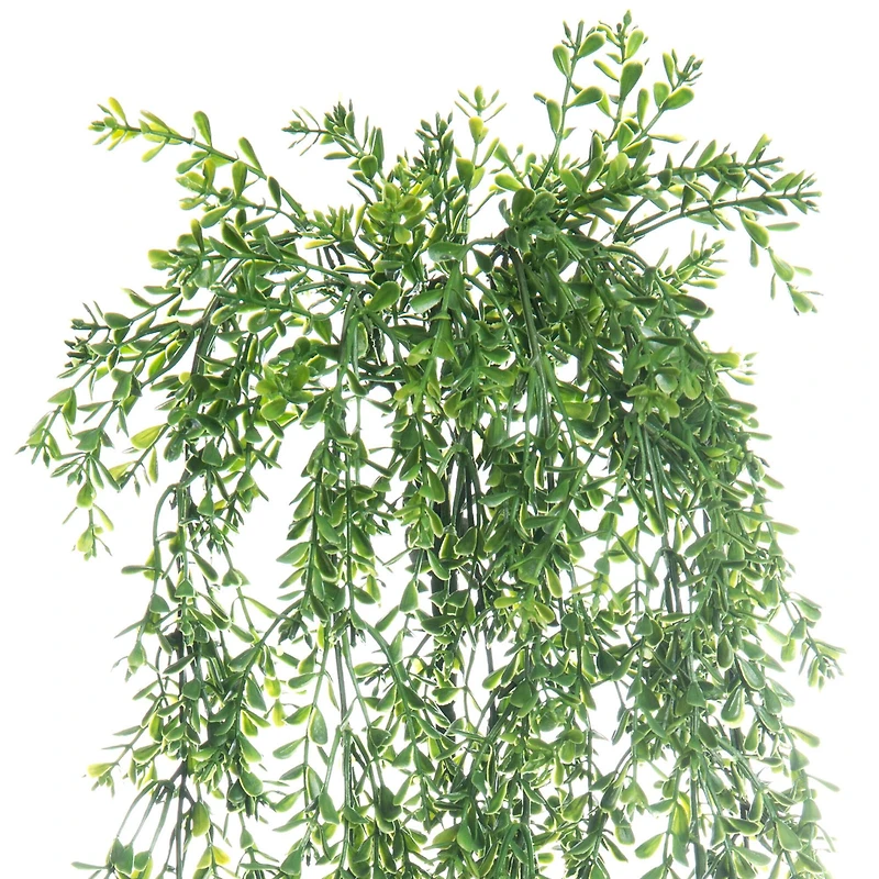 12 Pack: Green Boxwood Bush by Ashland®