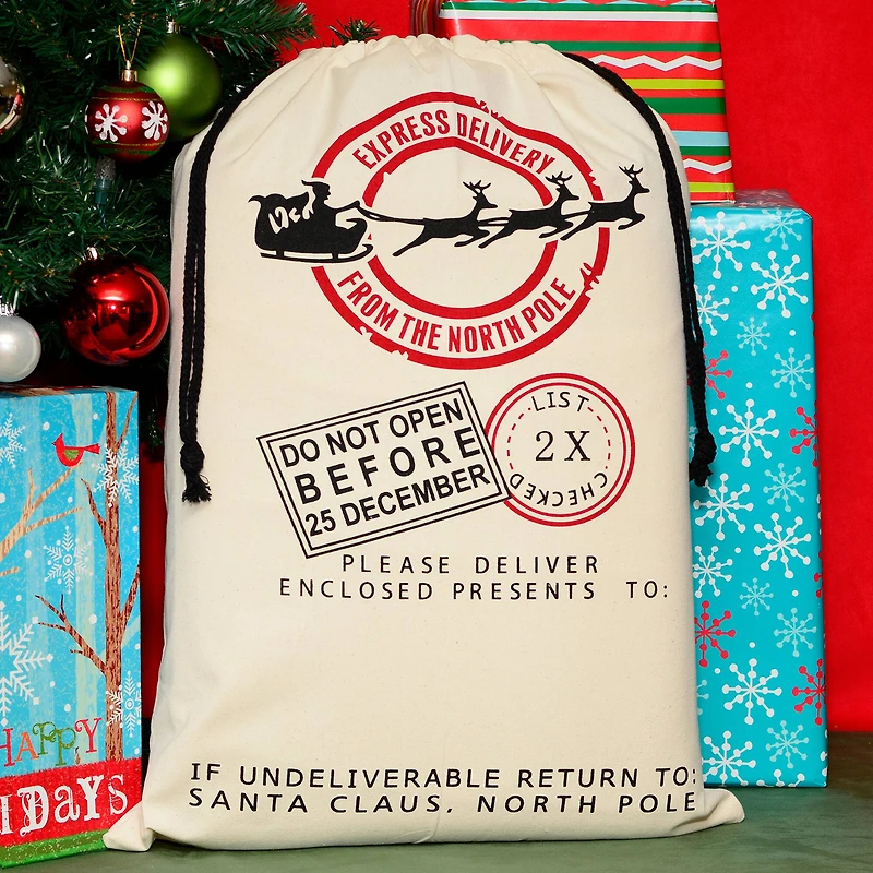 19" x 26" Express Delivery Christmas Drawstring Bag