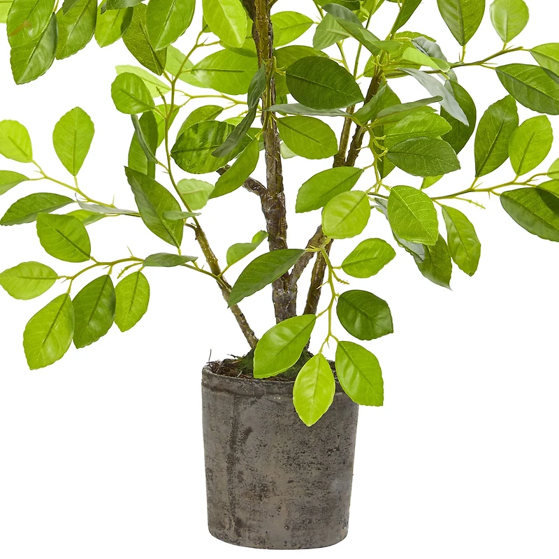 3ft. Ficus Tree in Faux Concrete Planter