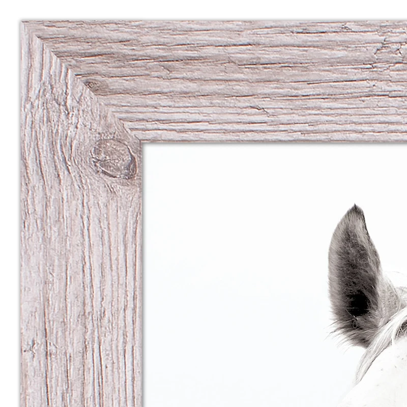 White Horse Western Framed Print