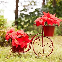 Glitzhome® 21.5'' Red Metal Bicycle Plant Stand