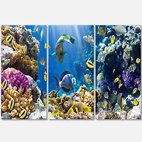 Designart - Fish in Coral Reef