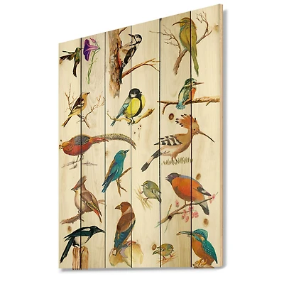 Designart - Vibrant Colored Birds Plancard