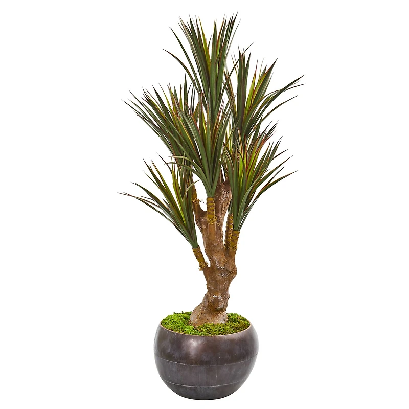 4ft. Yucca Tree in Decorative Planter