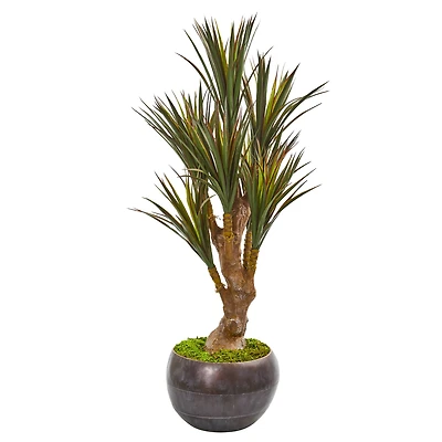 4ft. Yucca Tree in Decorative Planter