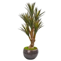 4ft. Yucca Tree in Decorative Planter