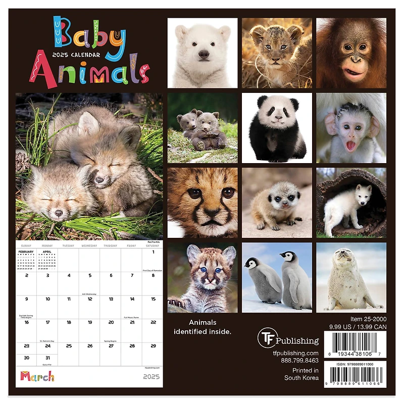 TF Publishing 2025 Baby Animals Mini Calendar