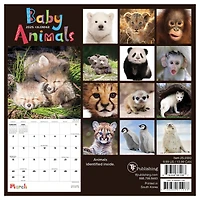 TF Publishing 2025 Baby Animals Mini Calendar