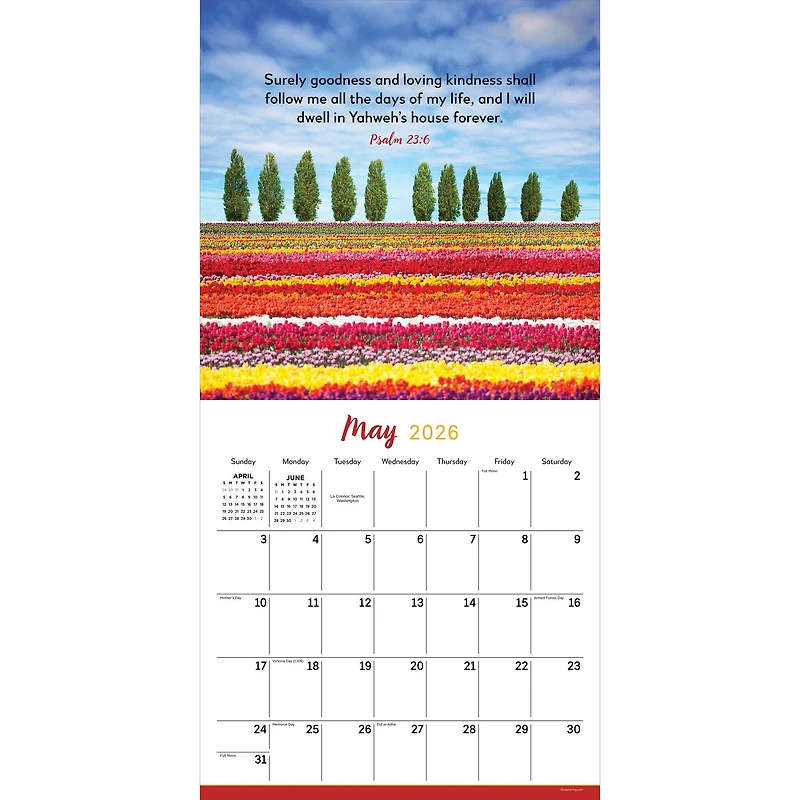 2026 Psalms Wall Calendar