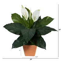 2ft. Peace Lily Plant in Terra Cotta Planter