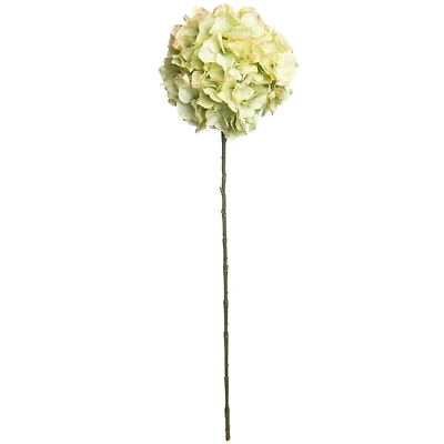 30" Green Hydrangea Stem by Ashland®