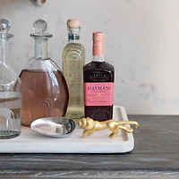 Hello Honey Stainless Steel and Cast Aluminum Scoop with Lion Shaped Handle, Gold Finish